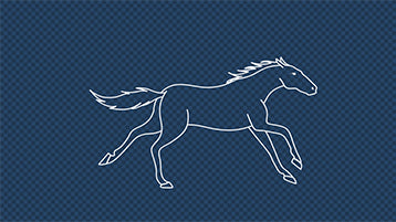 Outline Horse Galloping Loop Cycle Animation