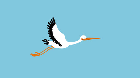 Bird Stork Fly Animation