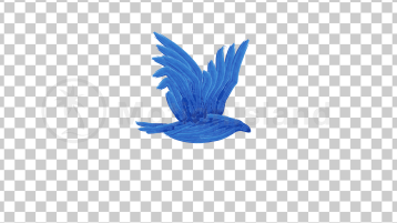 Flying Bird Brush Paint Animation