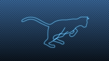 Cat Run Cycle Animation After Effects