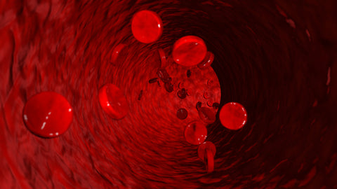 Red Blood Cells Stream Stock Video