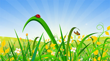 Landscape Nature Animation with Ladybird and Butterfly