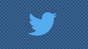 Twitter Bird Logo Animation